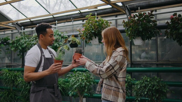 Customer selects potted plants with help from store employee in a greenhouse during a sunny afternoon