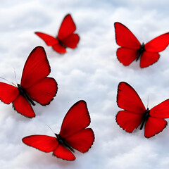red and black  butterflies