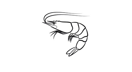 Simple black line drawing of a shrimp in a white background offers clean design