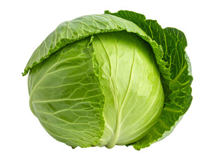 Fototapeta premium - Whole Green Cabbage Front View with Crisp Leaf Texture, Isolated on White Background 
