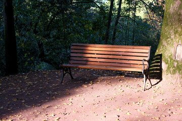 Bench in the park in autumn. Selective focus. Bench in the park with fallen leaves on the ground and trees in the background