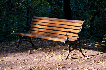 Bench in the park in autumn. Selective focus. Bench in the park with fallen leaves on the ground and trees in the background