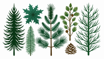 Collection of stylized evergreen trees and pine cones on white background
