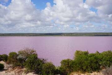 Pink Lake with Vibrant Clouds at Hutt Lagoon, Western Australia