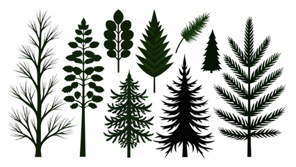 Fototapeta premium Collection of stylized evergreen and deciduous tree silhouettes