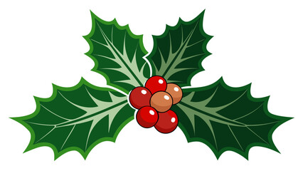 Christmas holly leaves and berries illustration