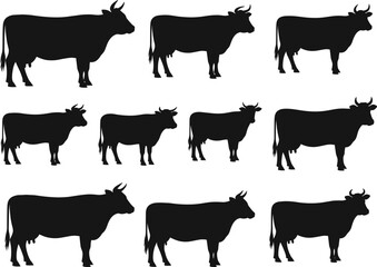 Cow silhouette vector set featuring horned cattle in varied poses, ideal for farm, livestock, rural design, and agriculture themes