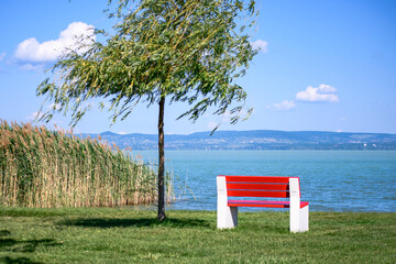 T&oacute;parti t&aacute;jk&eacute;p , piros paddal