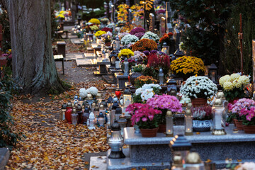 Kwiaty zdobiące nagrobki stanowią symbol pamięci, miłości i szacunku dla zmarłych. Jesienna kolorystyka w połączeniu z naturalnym światłem nadaje fotografii spokojny i nostalgiczny charakter.