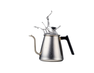 Stainless Steel Gooseneck Kettle with Splashing Water