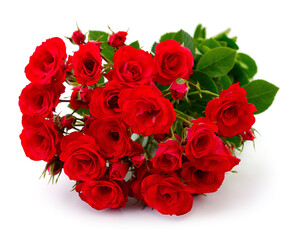 Bouquet of red roses isolated on white