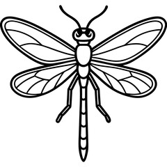 Fototapeta premium Damselfly line art vector