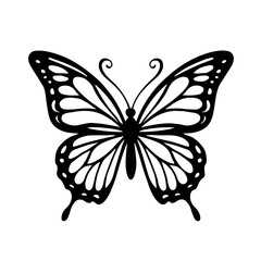 Butterfly 1