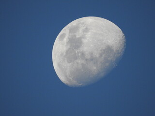 Waning Gibbous Moon in a Bright Blue Sky