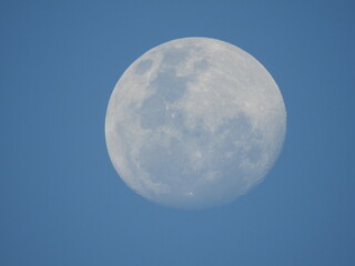 Full Moon in a Clear Daytime Blue Sky
