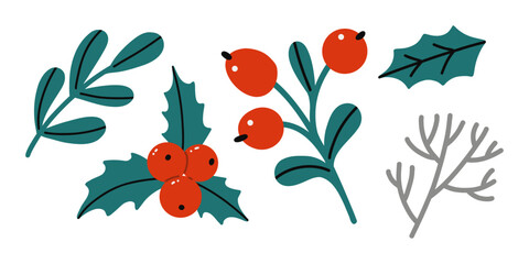 Vector set of winter flowers and branches.