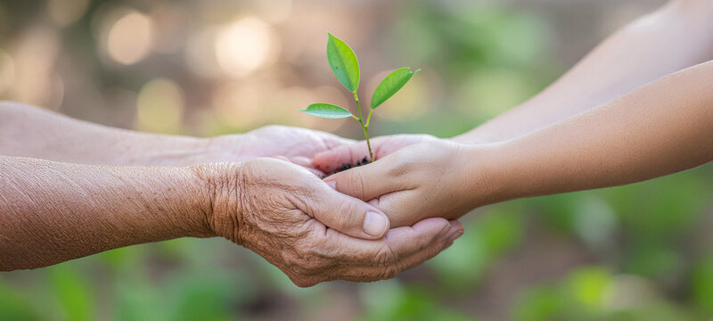 A tender moment of intergenerational connection, with a child and elder holding a seedling together. Symbolizing hope, growth, and the promise of a greener future.