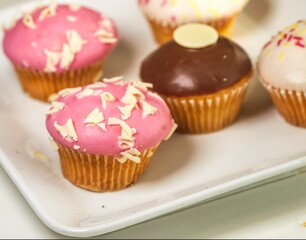 cupcakes with chocolate frosting