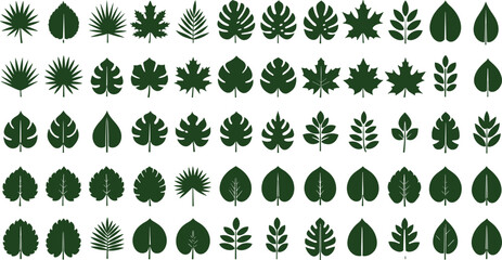 Leaf silhouette icon set, 56 botanical shapes, foliage diversity, plant morphology grid, dark green vector design, white background, nature study