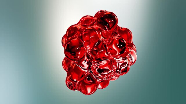 Abstract video of red bubbles floating in front of a green background, clumping together into an amorphous blob and disintegrating again