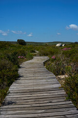 S&uuml;dafrika West Coast National Park Marine Protected Area