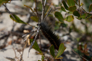 S&uuml;dafrika West Coast National Park Marine Protected Area