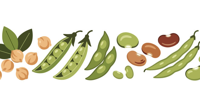 A vibrant illustration of various legumes including chickpeas, peas, soybeans, fava beans, and kidney beans, arranged horizontally.