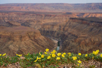 Fishriver Canyon Namibia