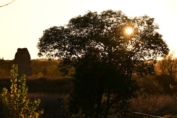 sunrise over the river