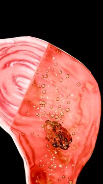 intestinal villi, Red microvilli in a intestinal tract. close-up, Microbiology, anatomy, biology, science, stomach, medical and healthcare concepts, Digestive system, epithelial cells, 3D Render	
