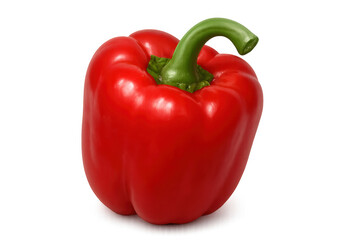 Red bell pepper standing, fresh healthy vegetable, colorful ingredient for cooking and diet, transparent background