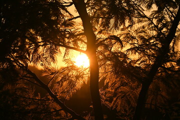 sunset in the mountains