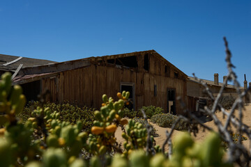 Kolmanskuppe Namibia