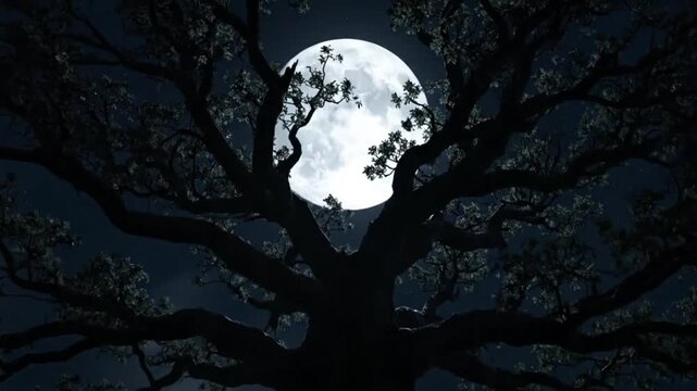 Ancient, gnarled tree silhouetted against a luminous full moon at night.