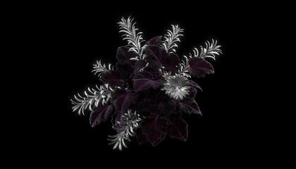 Abstract digital rendering of a dark purple and silver ornamental plant with textured leaves and spiky flower clusters against a stark black background
