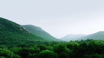 Obraz premium Serene View of Lush Green Mountains Under Soft Cloudy Sky with Vibrant Forest Surrounding Rolling Hills and Tranquil Nature Landscape