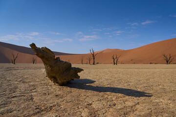 Dead Vlei Namib Wüste Namibia