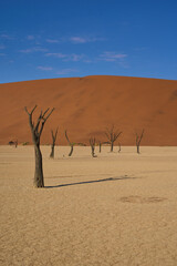 Dead Vlei Namib Wüste Namibia