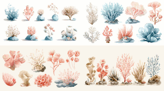 A refined watercolor coral arrangement featuring sea plants, reef textures, and natural coastal elements. Ideal for marine artwork, underwater themes, decor, and botanical designs.