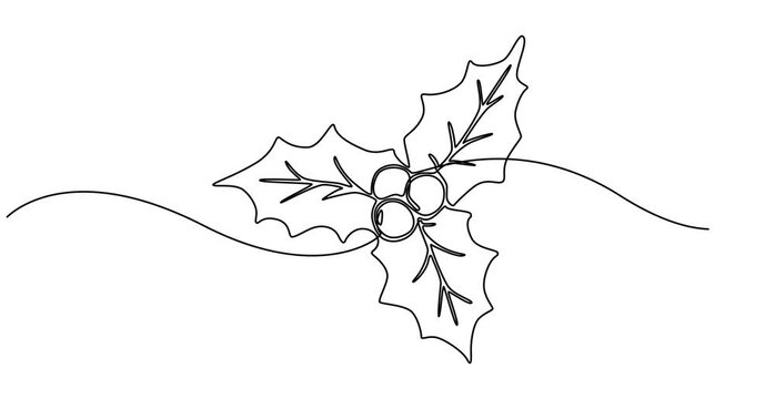 Video. Mistletoe holly drawing with one continuous line, Christmas plant in continuous line drawing style. Line art of holly leaves with berry. Vector illustration. Abstract background, full length 4k