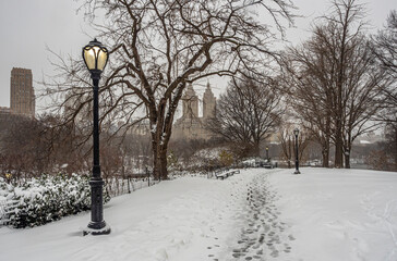 Central Park in winter  during snow storm