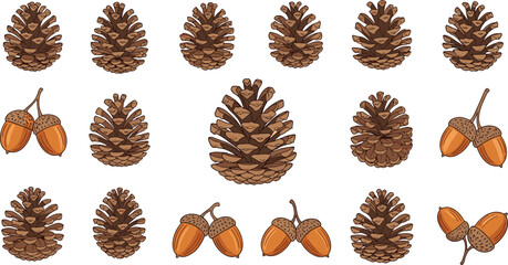 Pine cones and acorns, cartoon forest elements, autumn nature pattern, botanical illustration, seasonal clipart, vector design, woodland decor