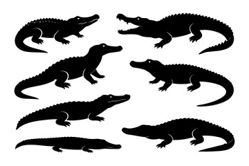 Fototapeta premium Silhouette collection of various alligator and crocodile species in different poses.