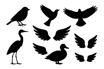 Obraz premium Silhouette collection of birds and wings in various poses.