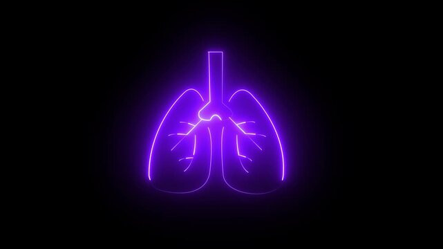  glowing The kidney neon organ physiology, 4k video.. 