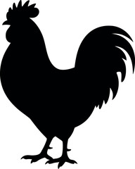 Black rooster silhouette bird fowl