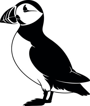 Black puffin standing white background bird silhouette