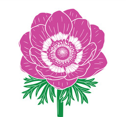 Vibrant pink anemone flower with green stem illustration