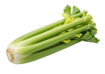 Fresh green celery stalks with leaves isolated on a transparent background vegetable