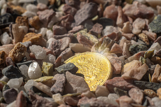 A gold precious coin lies in the stones.Find gold on the road.